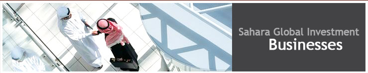 Sahara Global Investment Businesses